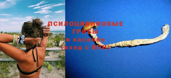 spice Костерёво