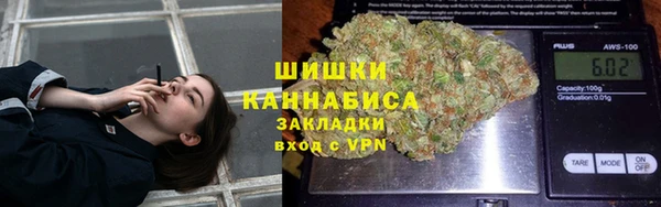 сатива Куйбышев