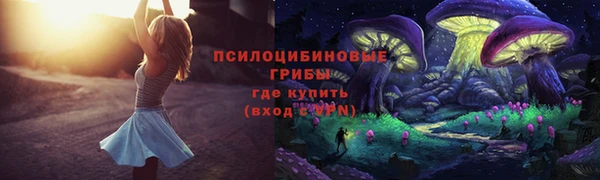 хмурый Кулебаки
