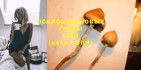 хмурый Кулебаки