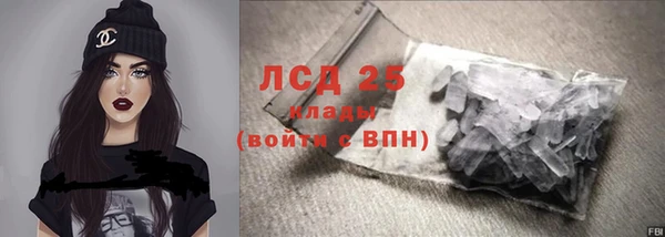 сатива Куйбышев