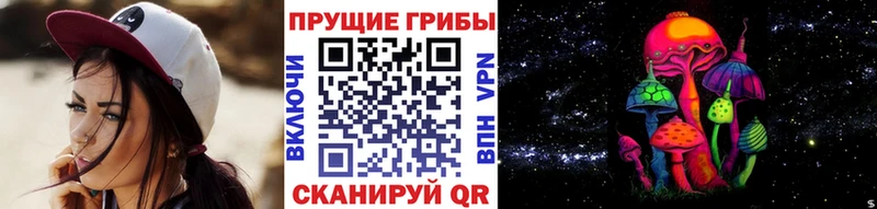 Галлюциногенные грибы Psilocybe  магазин продажи   Яблоновский 